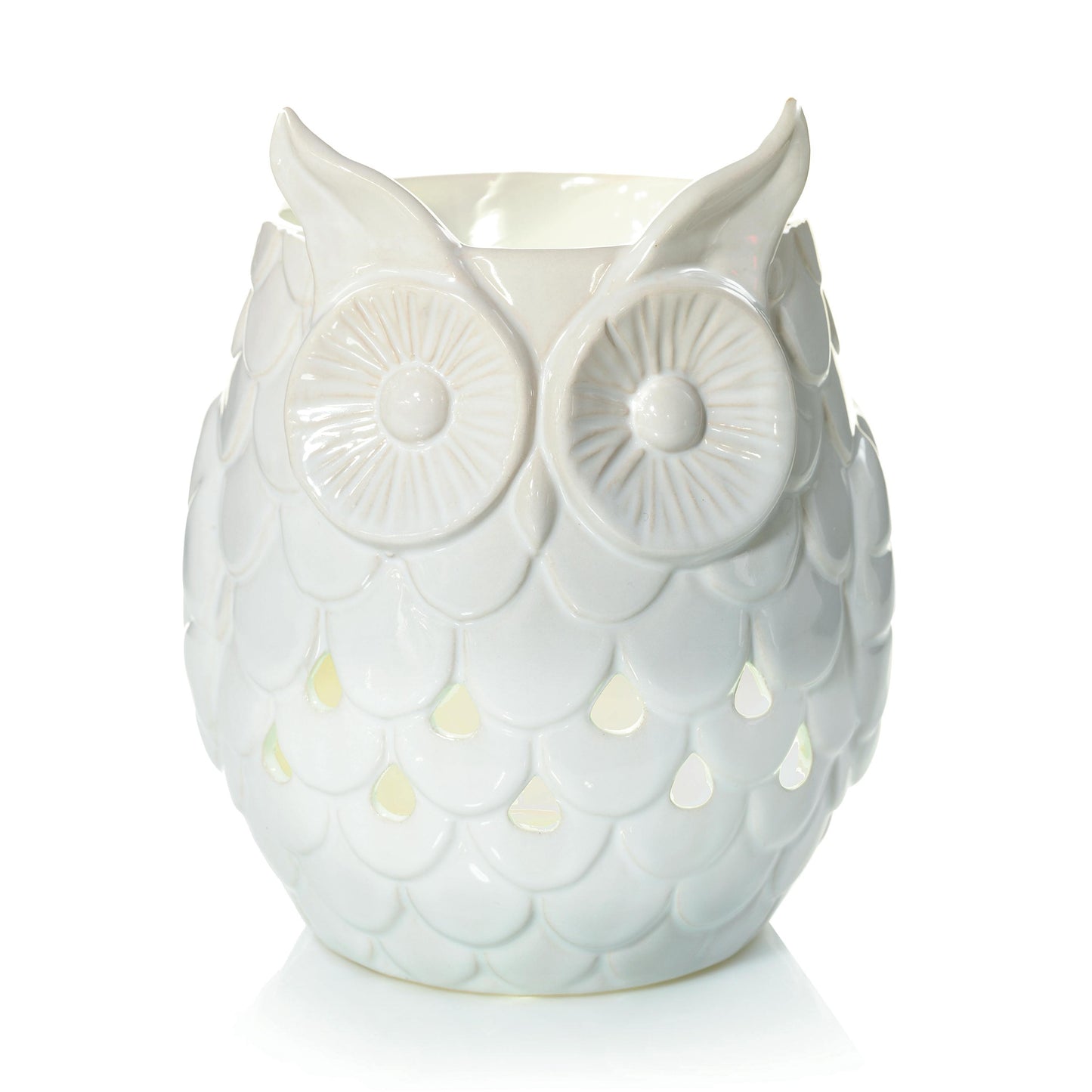 Owl (S5LAY)