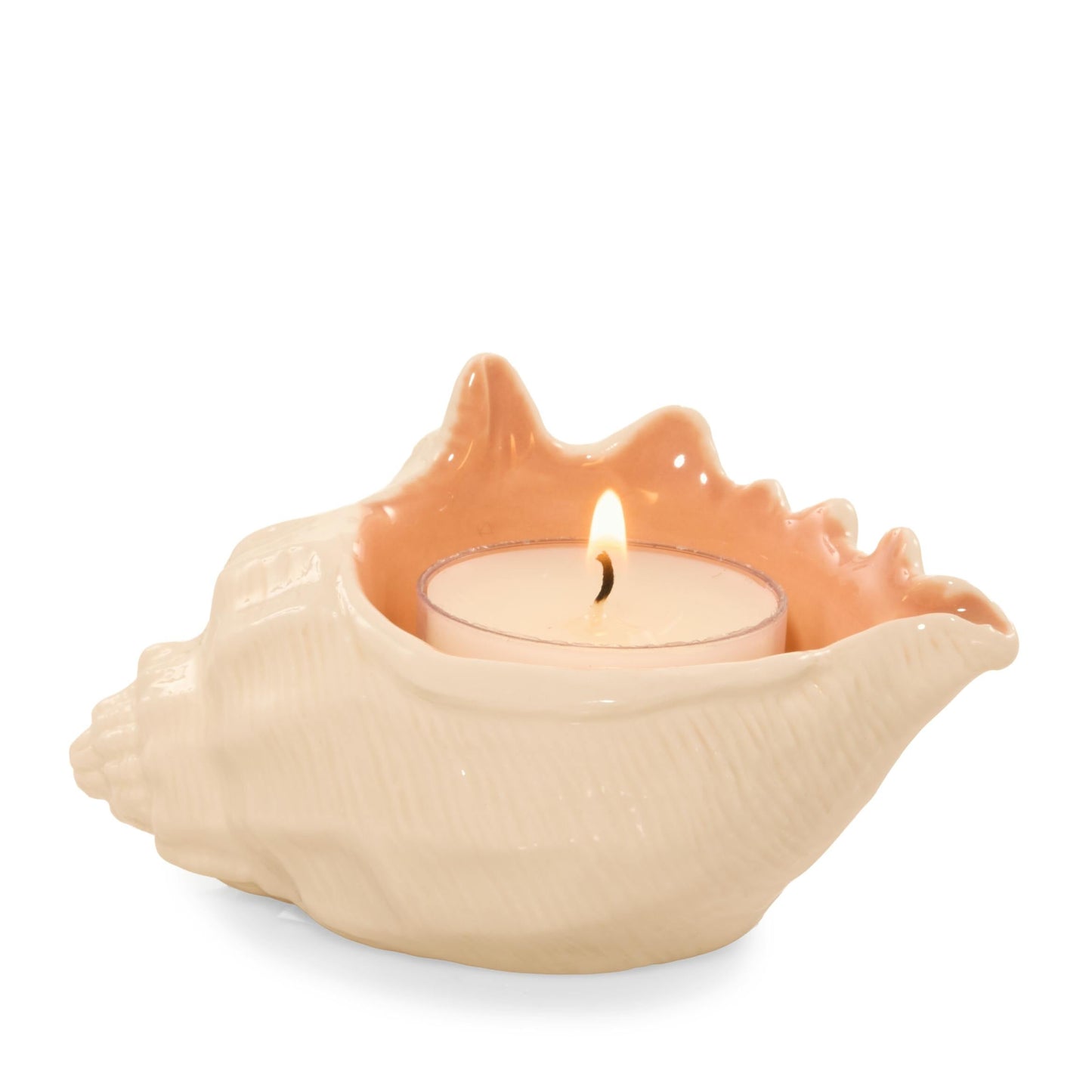Seashell Tea Light Candle Holder (S5Z7V)