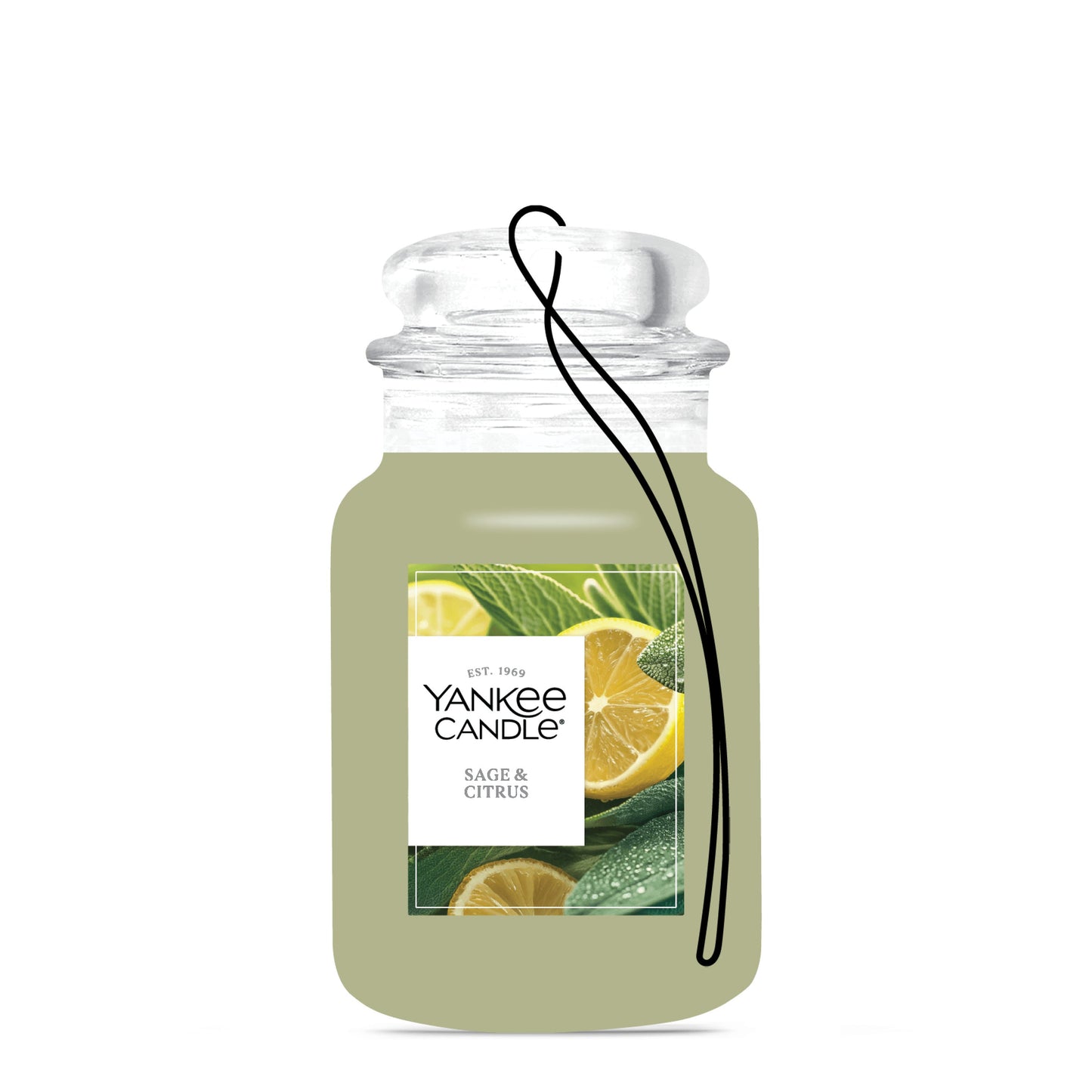 Sage & Citrus Series 1-0402