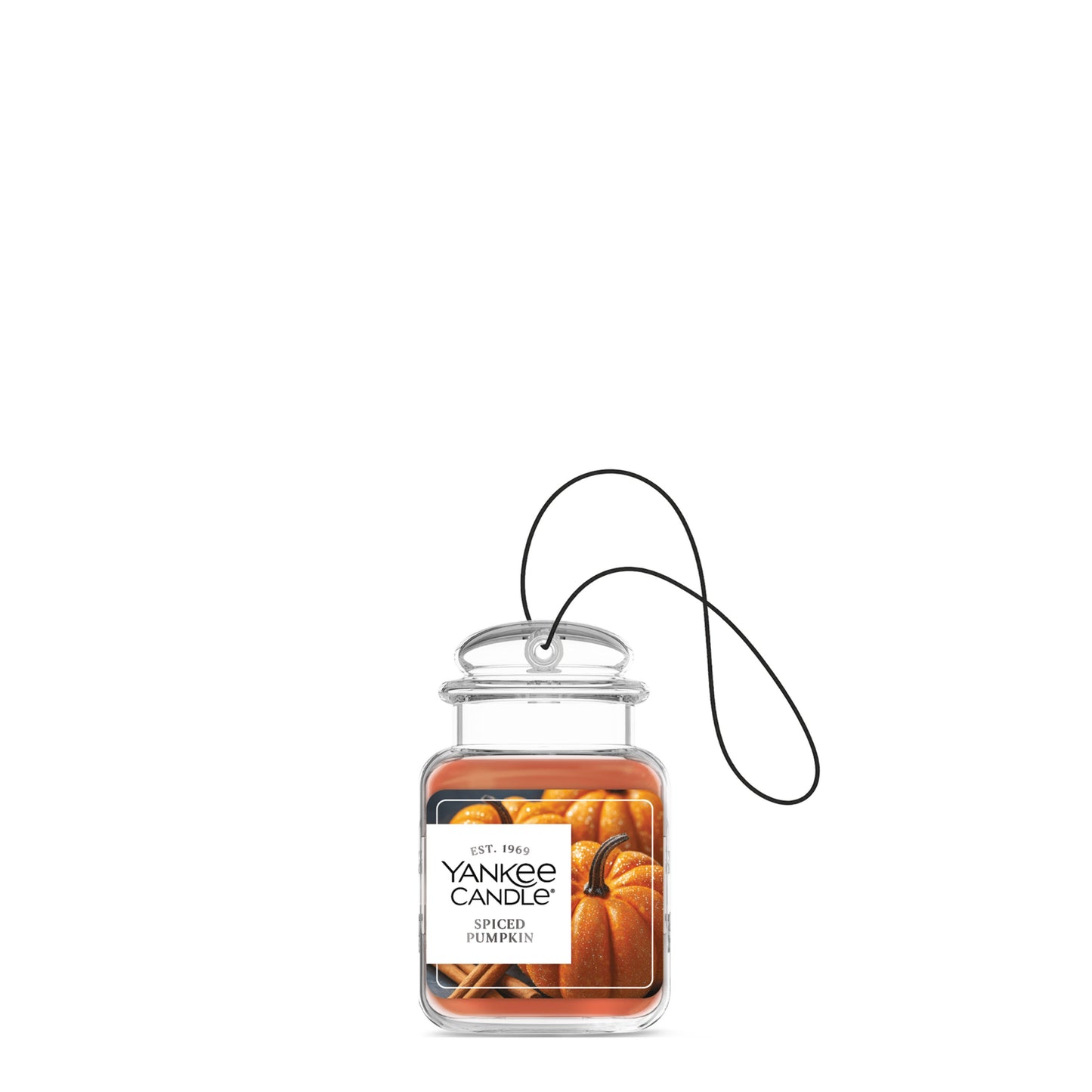 Spiced Pumpkin Wave 1-0280