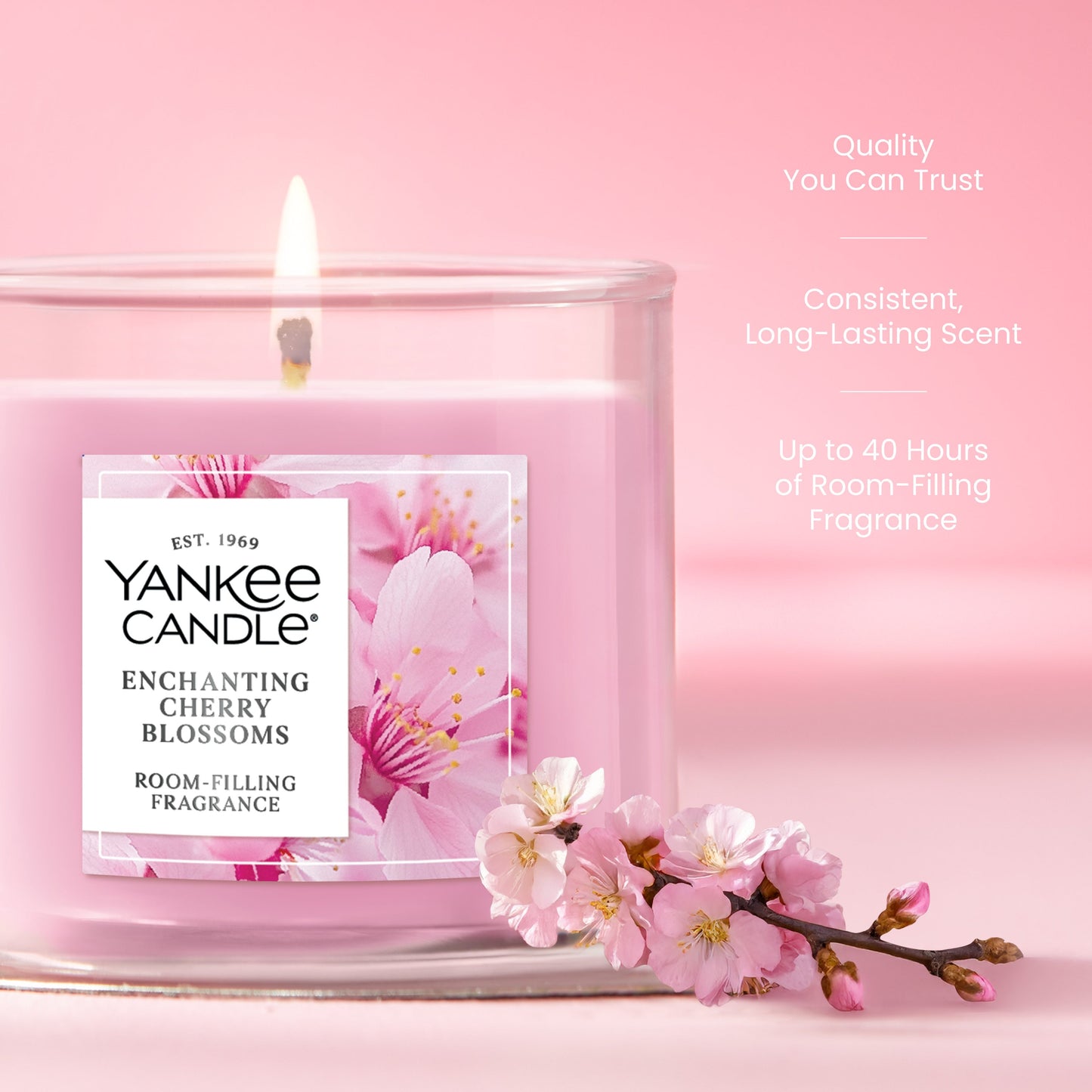 Enchanting Cherry Blossoms