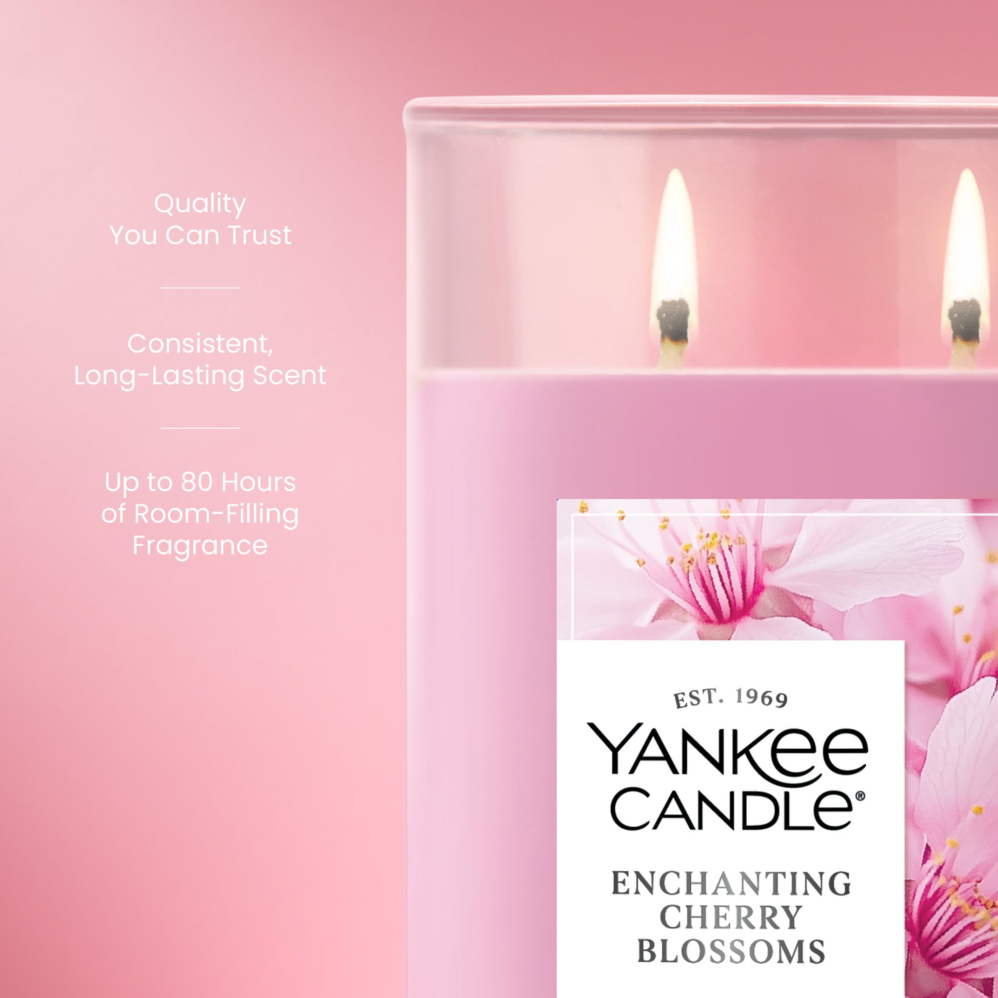 Enchanting Cherry Blossoms