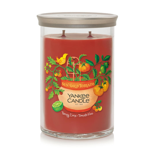 Sun Gold Tomato - Tangy Lime · Tomato Vine (S556Y)