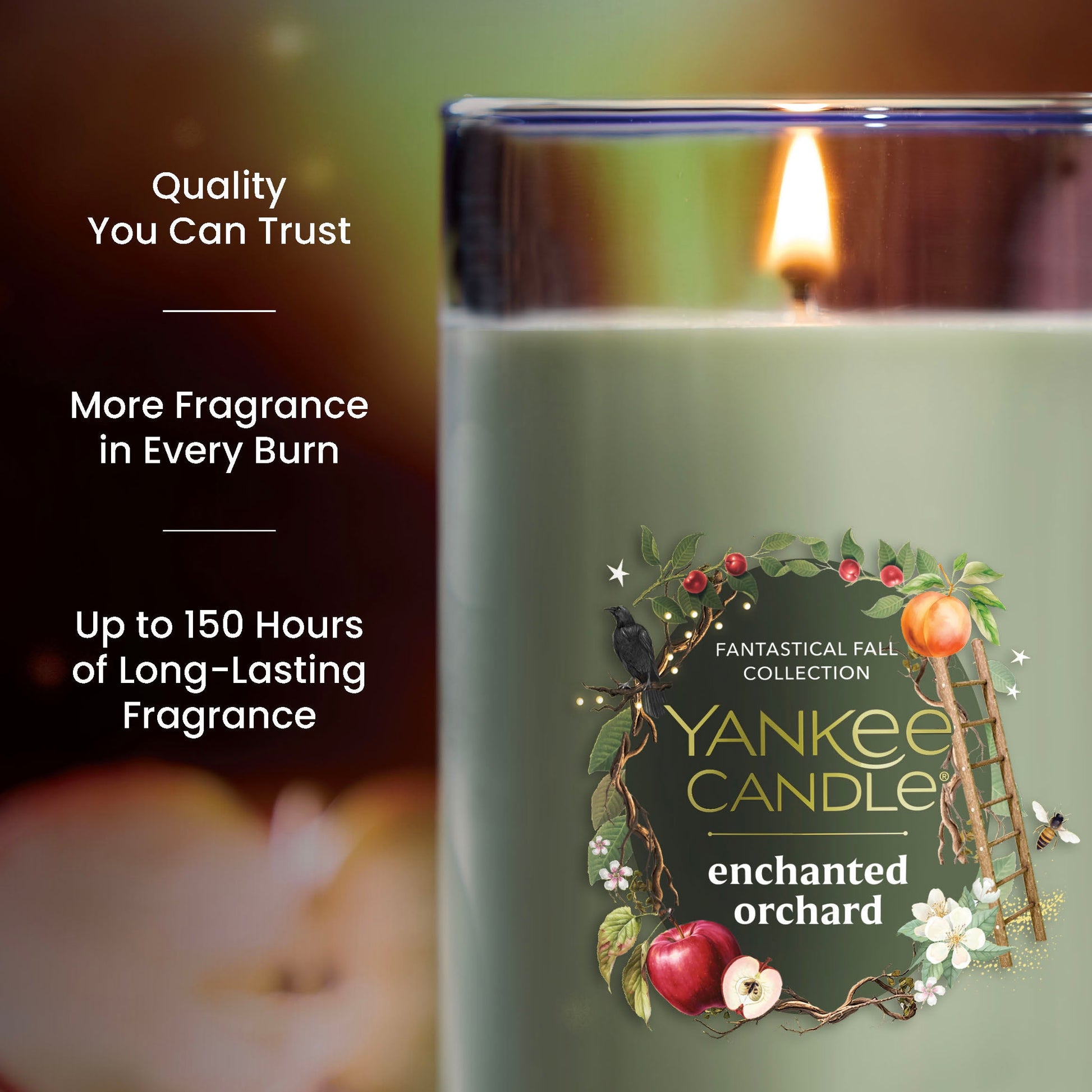 https://yankeecandle.imgix.net/d4840376-a8a9-360b-9ea7-ae8c797b66c6/d4840376-a8a9-360b-9ea7-ae8c797b66c6.jpg