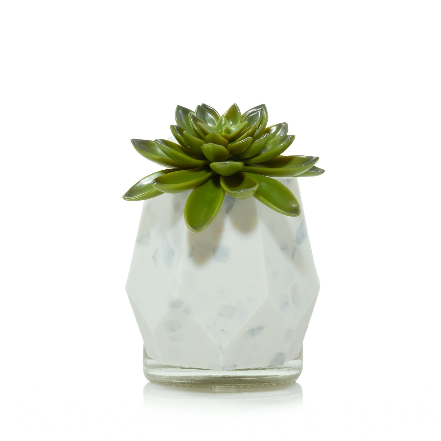 Faceted Succulent ScentPlug® Diffuser with Light (S5X38)