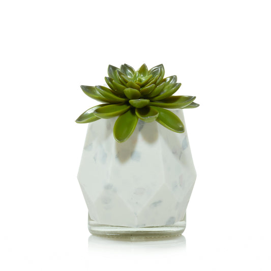 Faceted Succulent ScentPlug® Diffuser with Light (S5X38)