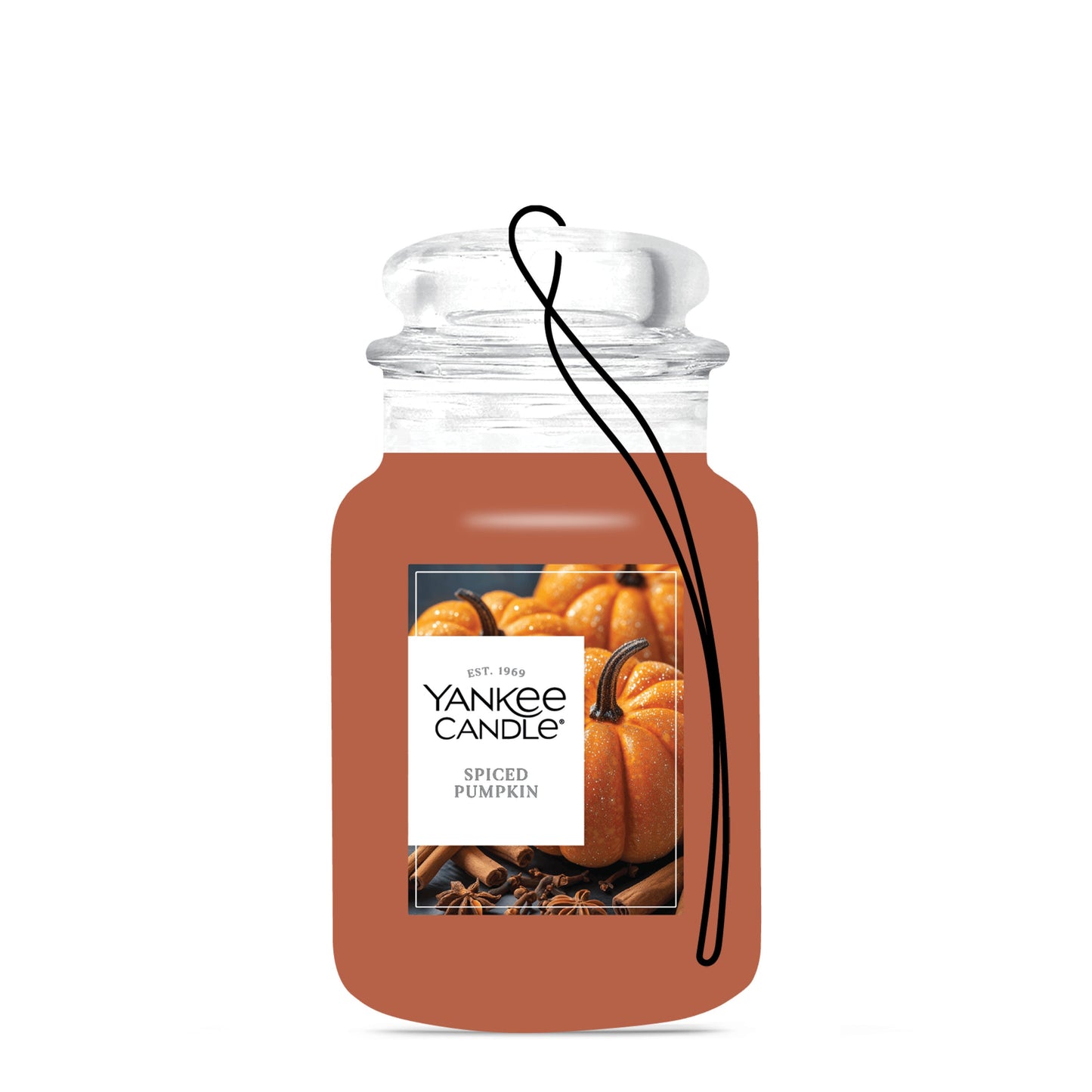 Spiced Pumpkin Blend 1-0459